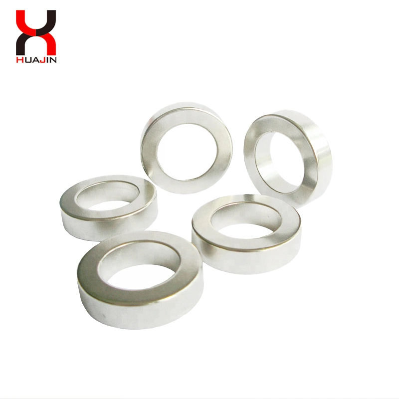 Strong Neodymium Sintered Magnetic Ring Rare Earth Round Ring Magnet with Holes