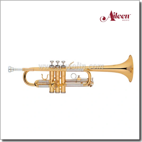 C Key Brass Stainless Steel Piston Trumpet (TP8376G)