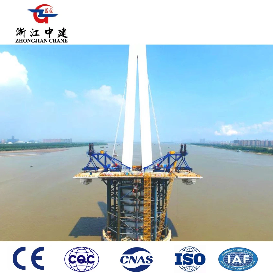 100 Ton/200 Ton/300 Ton Fixed Segment Lifter Customized Support