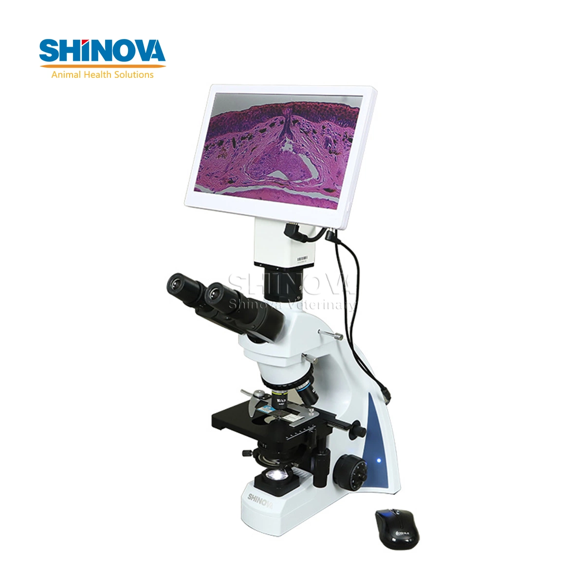 Shinova Good Quality High-Definition 5MP LCD Digital Veterinary Biological Microscope (DM-500L) with 11.6 Inch LCD Sceen