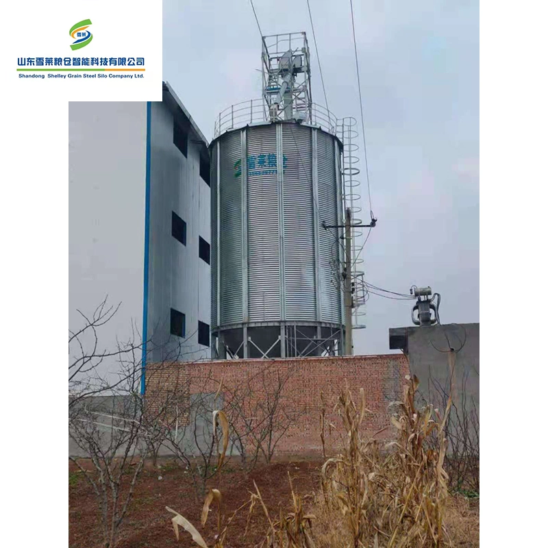 Shelley Feed Storage Silo China Granary Silo Manufacturing Professional Manufacturer وعاء صندوق من الفولاذ المطري أرز بادي القمح الذرة الذرة تخزين سيلو