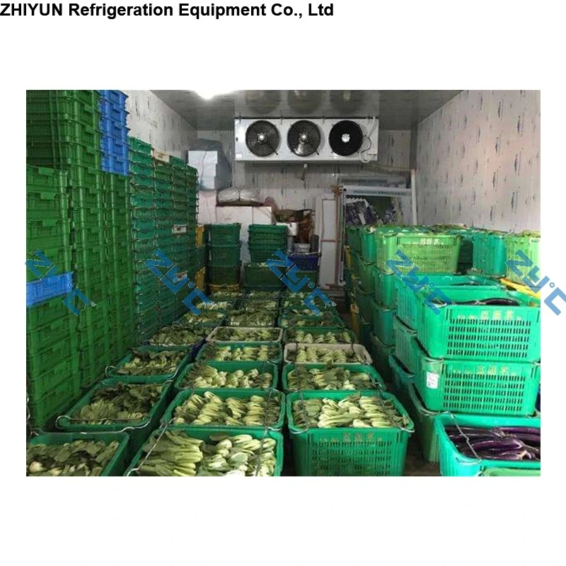 Fresh Mushroom Carrot Onion Green Peas Potato Garlic Blast Chiller Cold Room Refrigeration Warehouse