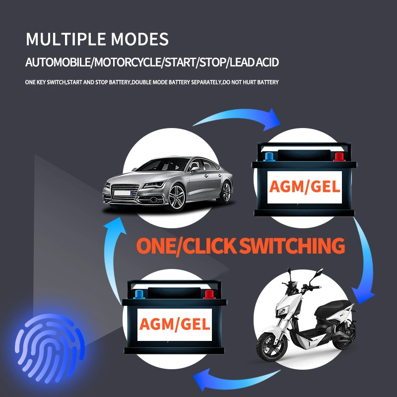 Auto Moto voiture Smart Pulse de réparation de la batterie Chargeur de batterie 12V 24V