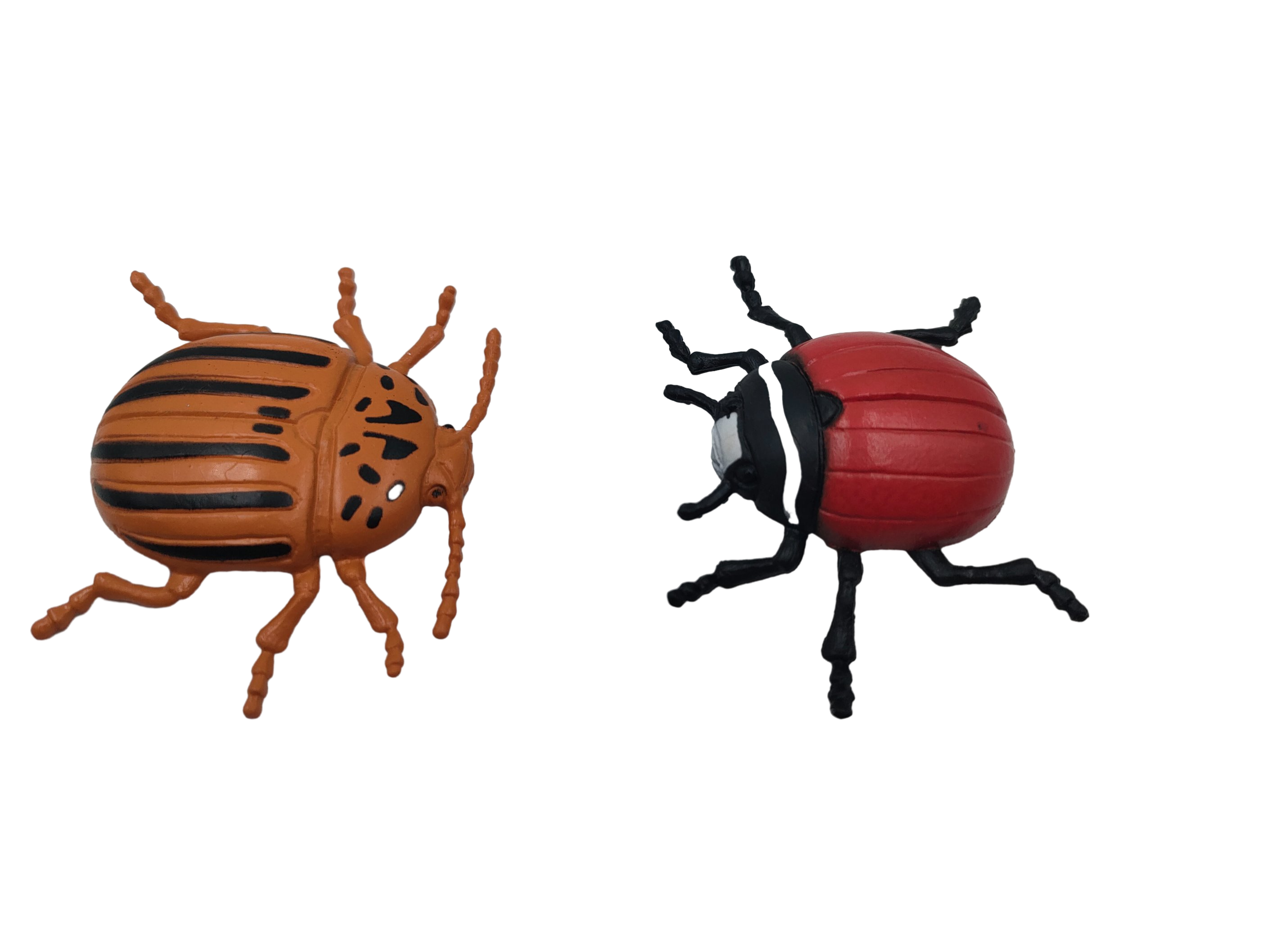 Figura de Worm castanho preto vermelho da ladybird da Beetle OEM