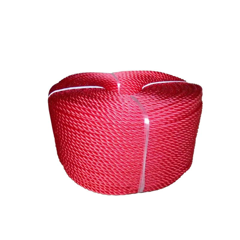 Factory Direct Supply 3/4 Strands 2-20mm Diameter PP /PE/ Nylon Monofilament Twisted Rope for Agriculture/Sea/Fishing/Packing