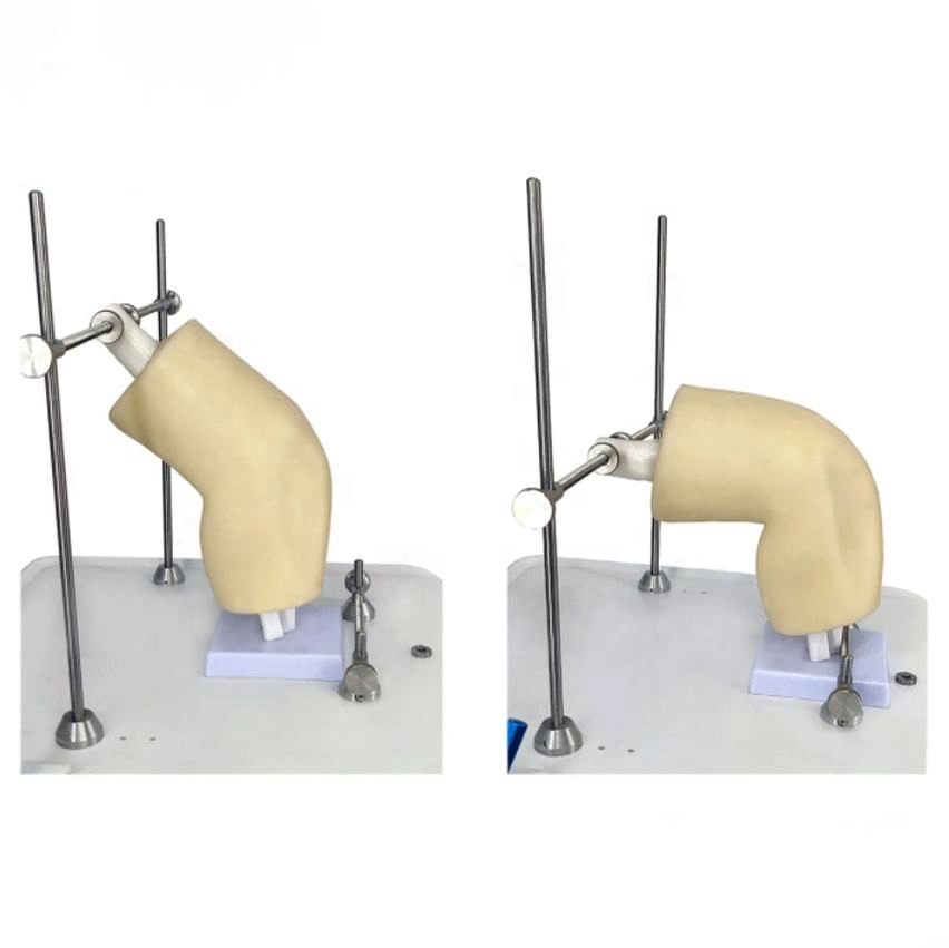 Arthroscopy Model Knee Joint Medical Teaching Demonstration Simulator Knee Training Equipment Knee Arthroscopy Simulator