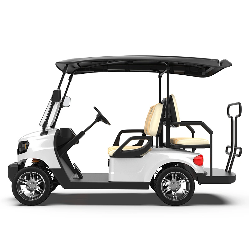 ISO Approved 3-4 Kinghike Packed and Loaded by Container Golf Cart Upgrades Vehicle