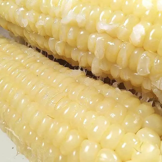 IQF Frozen White Glutinous Sweet Corn Non-GMO Cooked Sweet White Corn