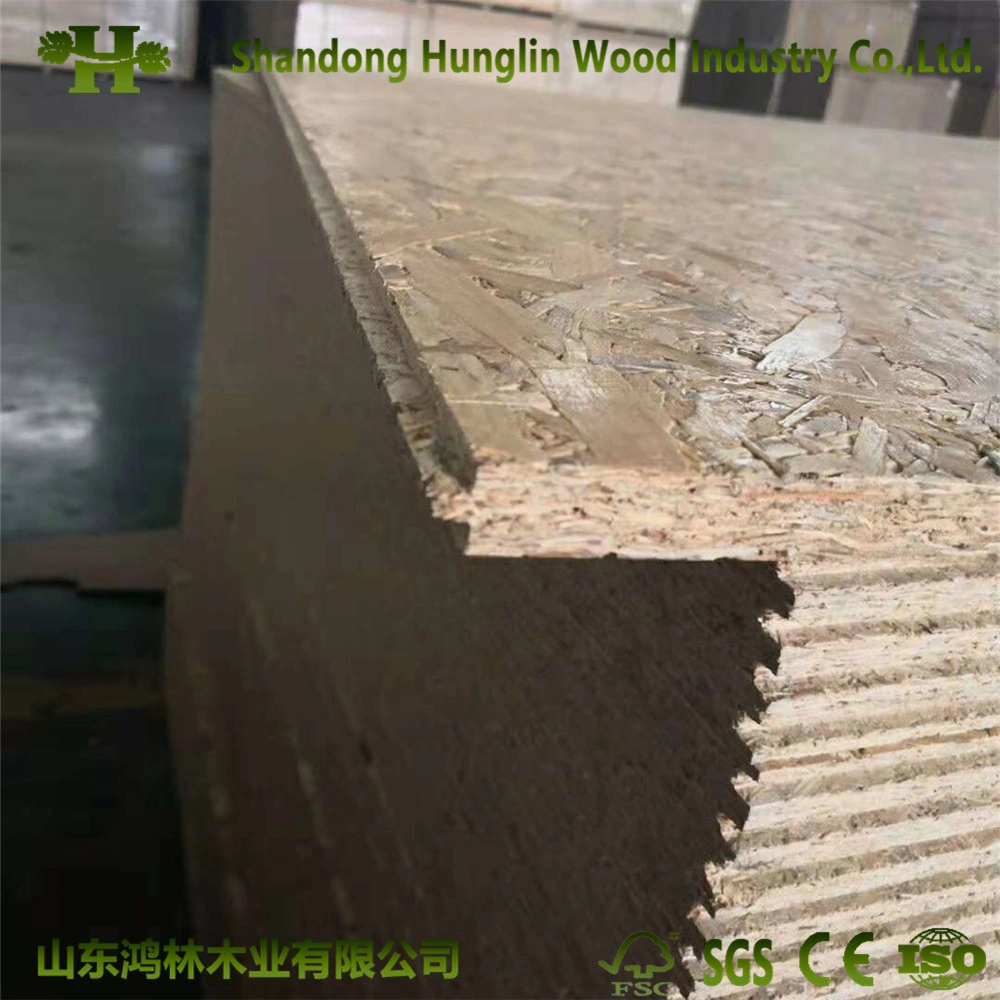 1220*2440*18mm Factory-OSB Pine WBP Glue