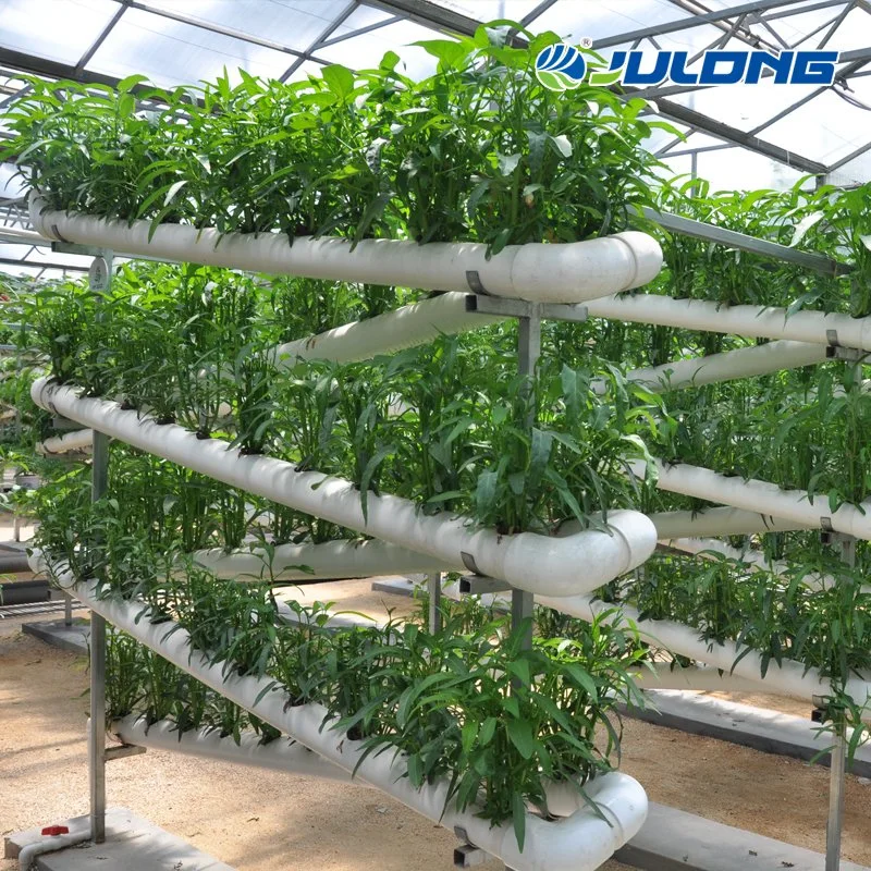 Hydroponics System Greenhouse Grow System with Automatic Control