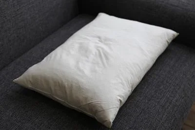 High quality/High cost performance Popular Hotel/Home 100% White Duck Feather Pillow