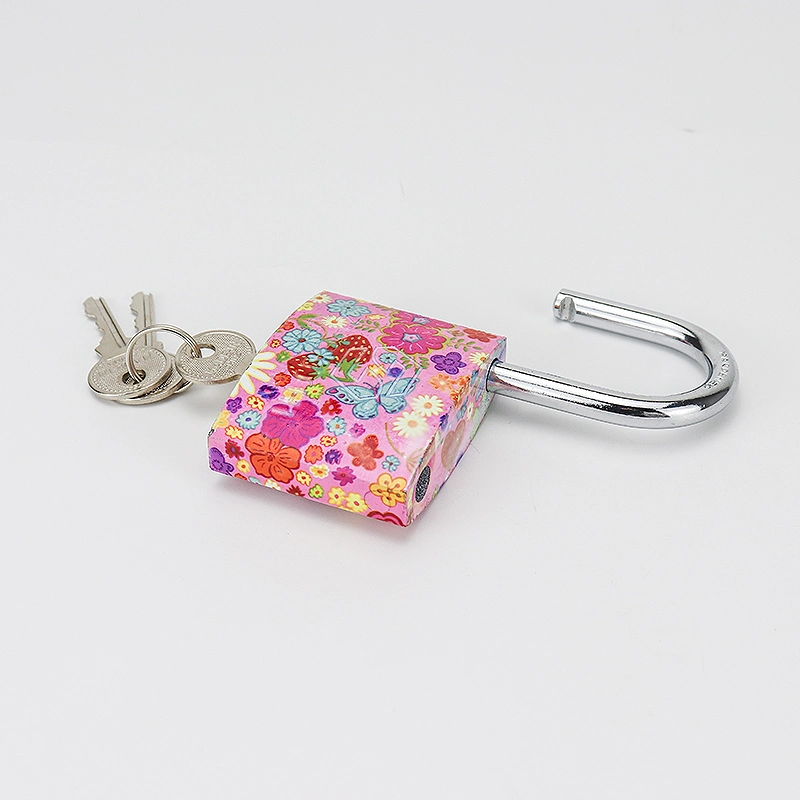 Hardware Tools 20-60mm Safety Protection Solid Keys Color Printing Square Iron Padlock