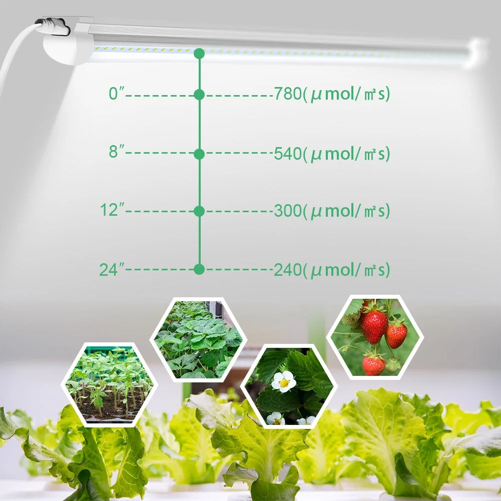 Full Spectrum T8 Wachstumslampe 2ft 3ft 4ft 5ft 6ft Verknüpfbare LED wachsen Licht für Indoor Gemüse Blumen