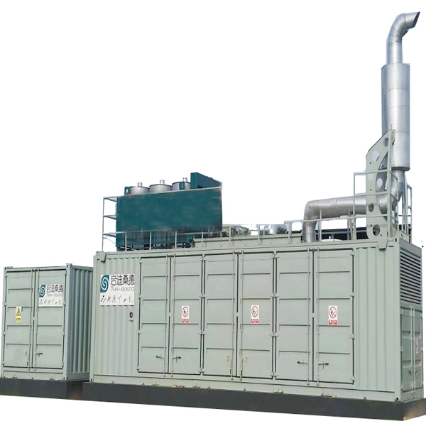 Russian Hot Sale Gas Generator Set ISO Eac Ce