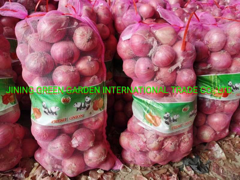 Fresh Red Onoin 5-8cm,3-7cm,8cm up Mesh Bag Pack Top Quality Good Service Experience Manufacture Direct Supply Shallot China Origin Wholesale/Supplier Fresh Red Onion 21