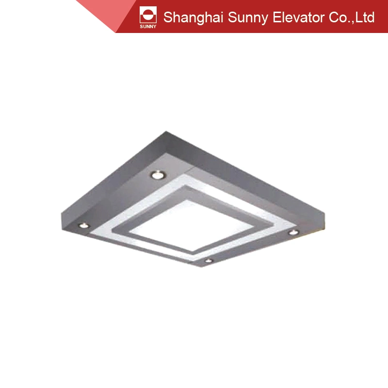 Etched Design Decorative Stainless Steel Elevator Ceiling Light Panel