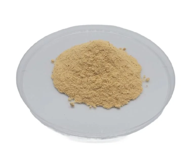 Pharmaceutical Grade Diosmin Powder Citrus Aurantium Extract CAS 520-27-4 Diosmin