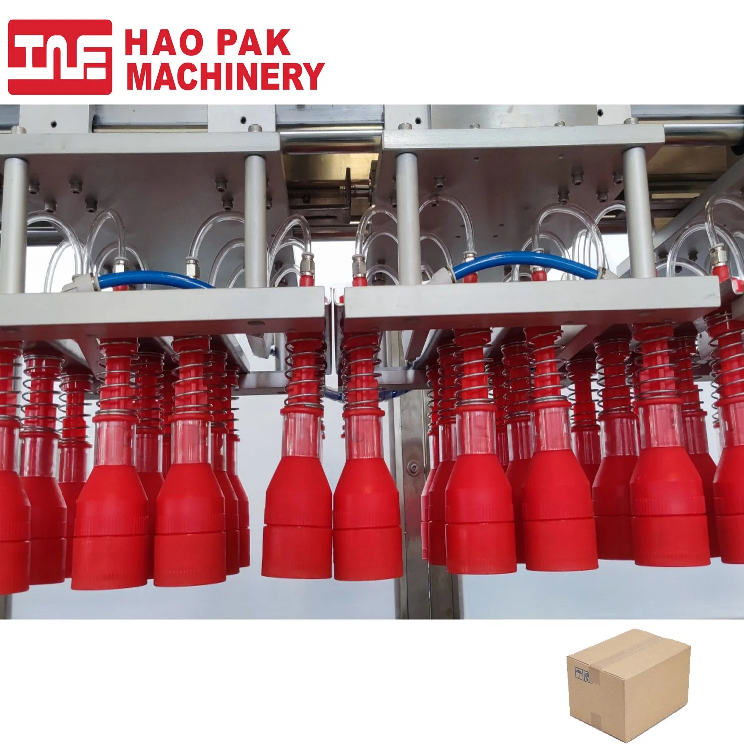 Carton Case Box Packing Line Automatic Strapping Machine Sealing Machine