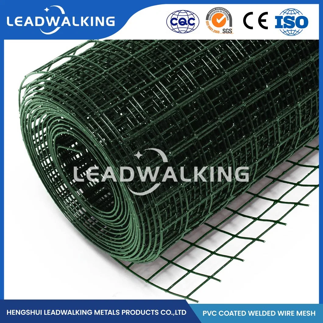 Malla de alambre soldado Leadwalking Fabricators recubierto de PVC 1/2 pulgadas recubierto de PVC Mallas Soldadas China 1/4 pulgadas recubierto de PVC negro Mallas Soldadas para Bird Cage