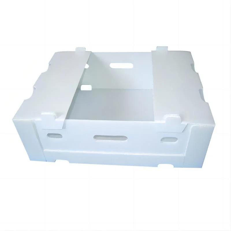 Waterproof Strong Durable Reusable Corrugated Plastic Box Storage Folding Container