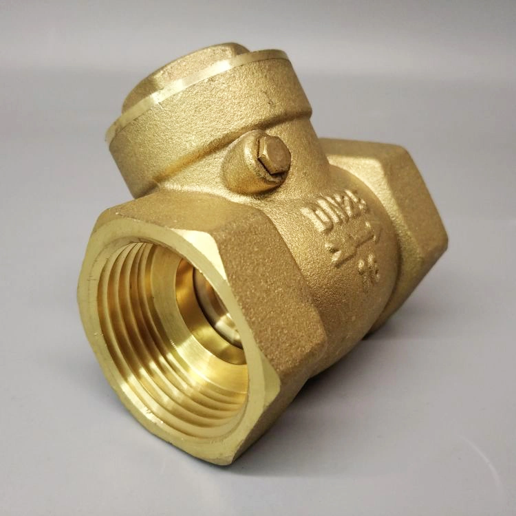 Non-Return Check Valve for Water Supply Pipe System