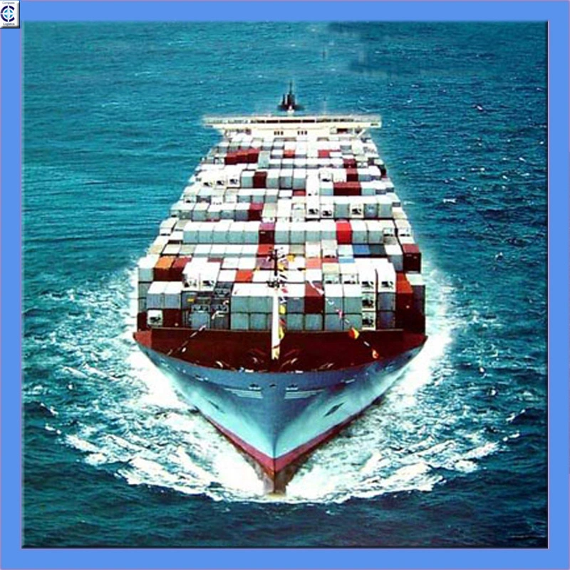 Warehouse and Container Shipping From China