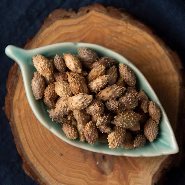 Pouvez er Zi naturel chinois Cocklebur d'herbes biologiques des Fruits Séchés fructus Xanthii pour la vente