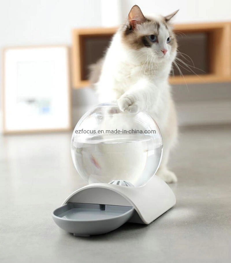 Cat Transparent Automatic Circulation Water Dispenser Pet Water Bowl Pet Fountain Self-Dispensing Pet Feeder Wbb12681