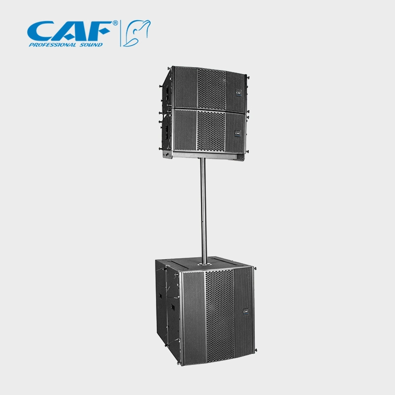 Haut-parleur Line Array 10 pouces PRO Audio