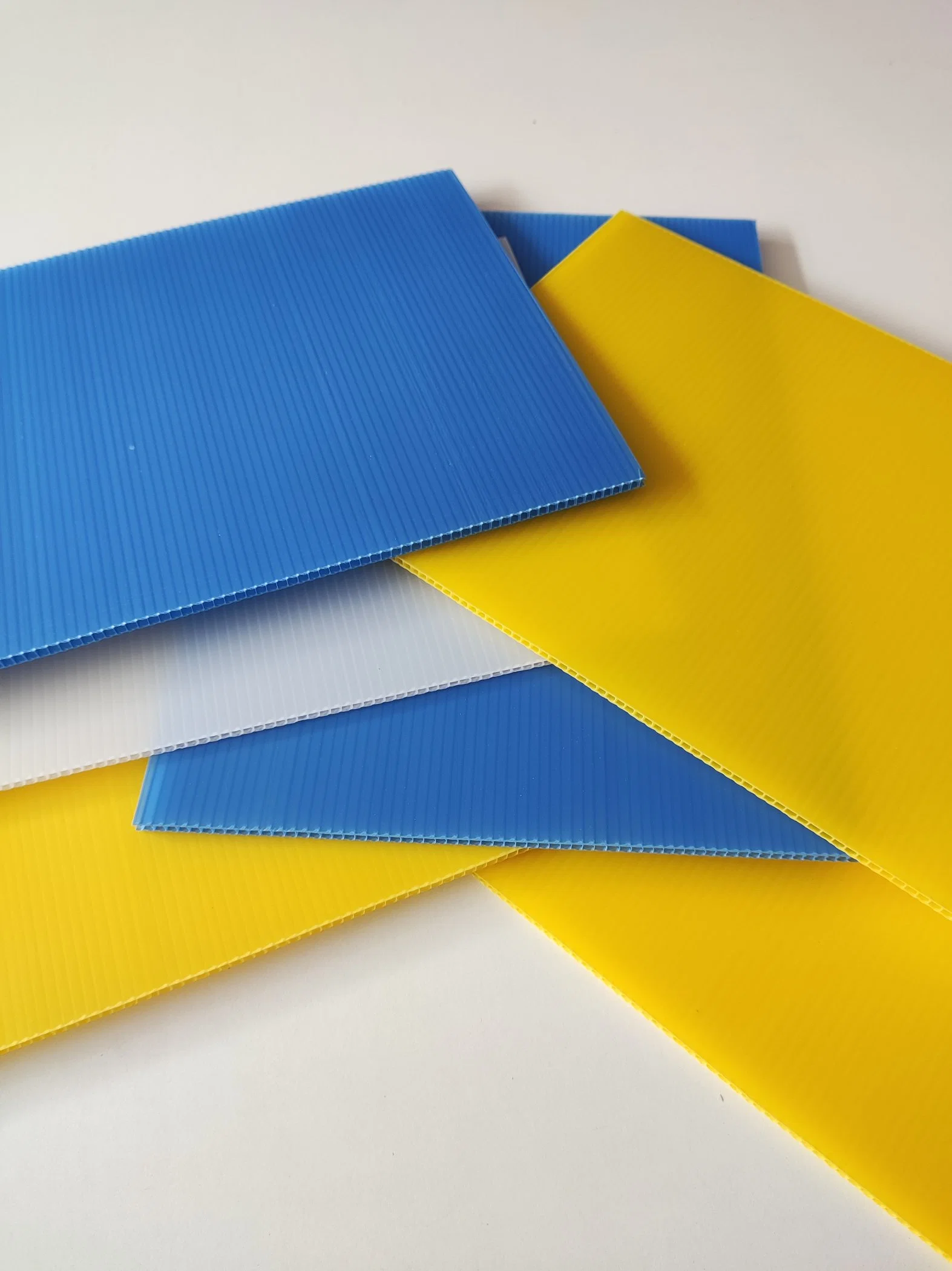 3mm 5mm 6mm Corona Treating Corflute PP Hollow Plastic Sheet