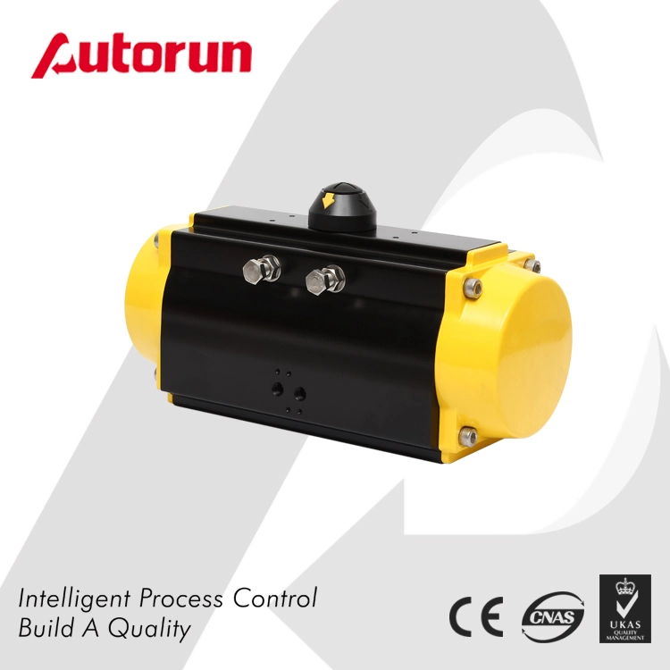 Chinese Wenzhou Manufacturer Rt Quarter Turn Pneumatic Actuator