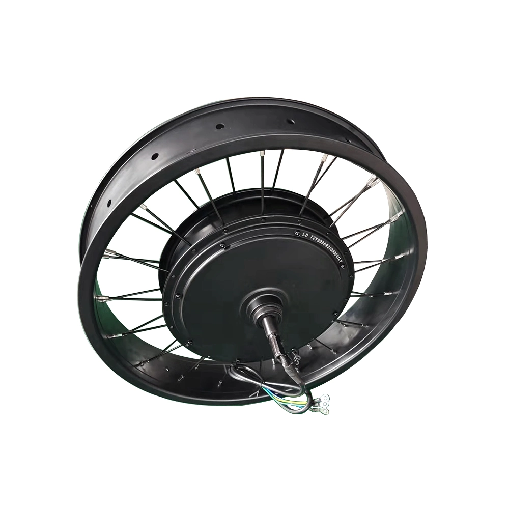 Fat Tyre 20*4.0 High Speed 120km/H 100km/H Electric Bicycle Brushless Hub Motor