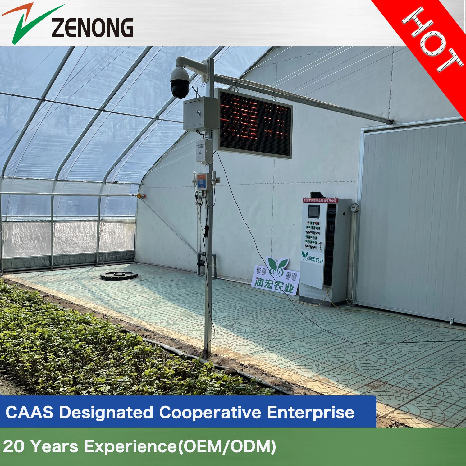 Hot DIP Galvanized Steel Skeleton Easy Install Film Solar Sunlight Greenhouse for Cold Area