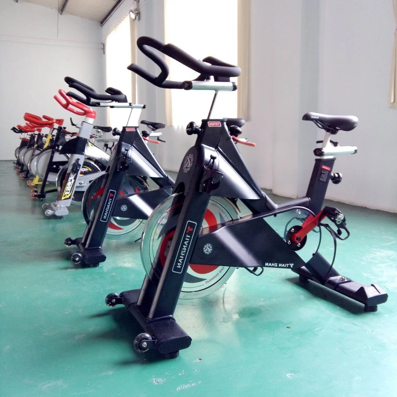 Leather Belt Tz Shandong Fitness Exercise Bike with CE