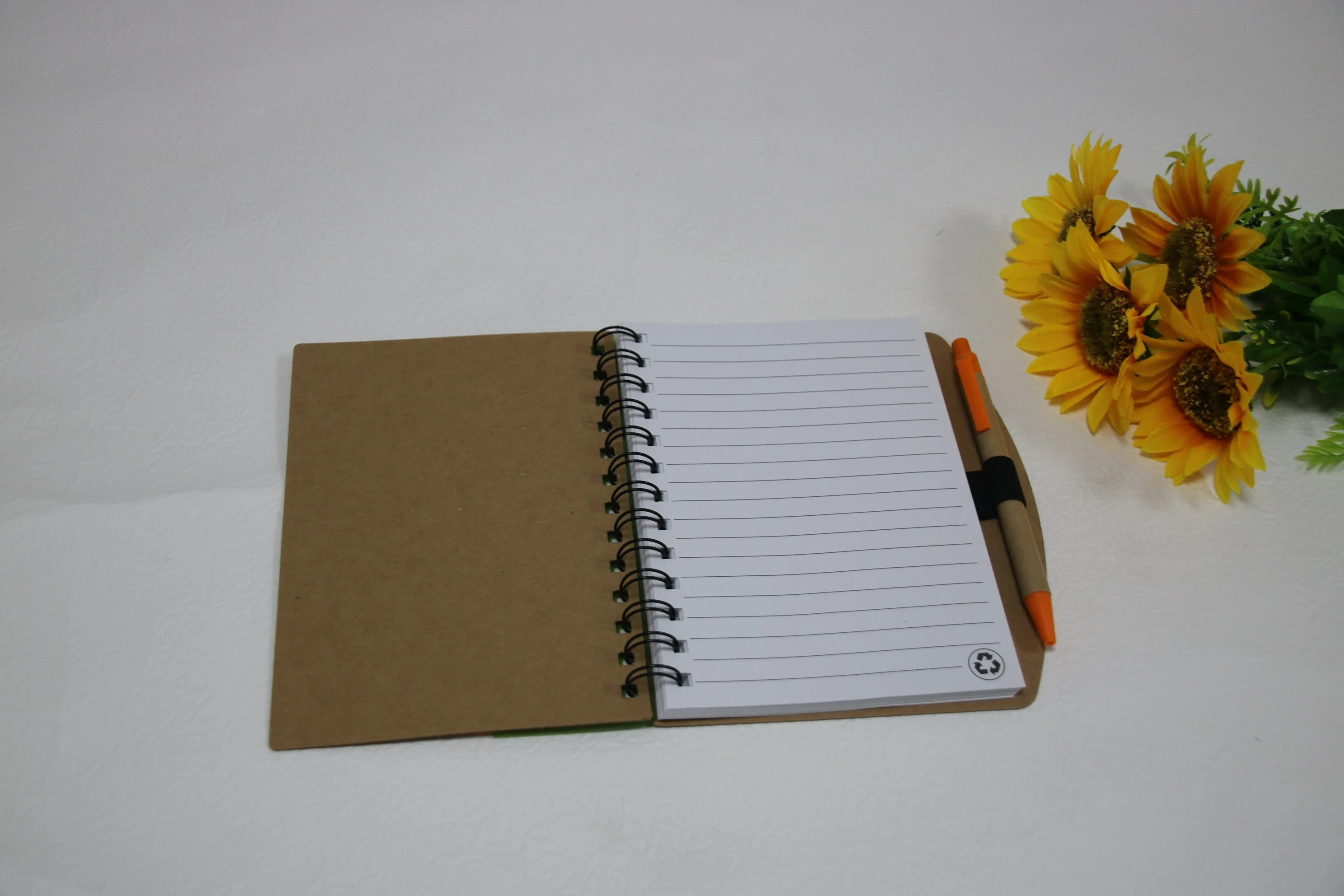 Preço por Atacado A5 Papel Kraft Notebook em espiral com fantasia