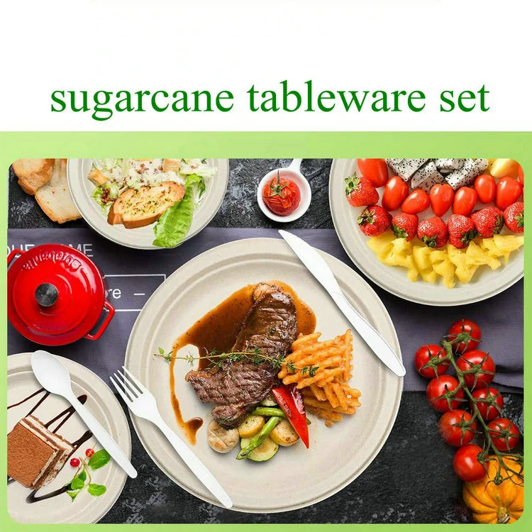 Natural Sugarcane Pulp Dinner Tableware Set Cutlery and Plate Set