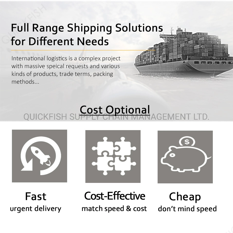 Cheapest International Air / Sea Freight Forwarding Services From China to Spain Shipping Services