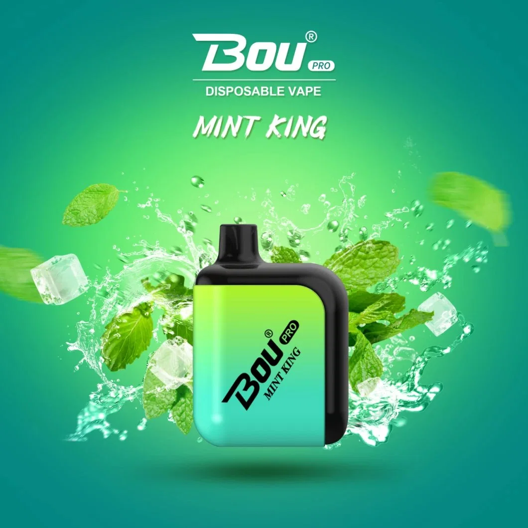 Wholesale/Supplier Bou PRO Vape vape Rechargeable 7000 Puffs Disposable/Chargeable Vape