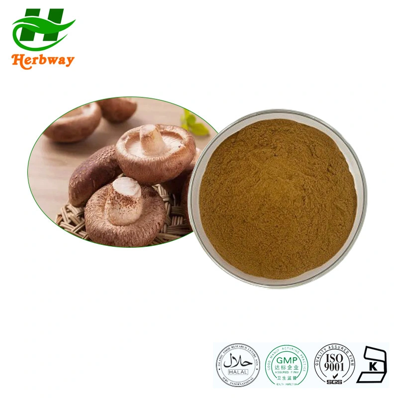 Herbway Kosher Halal Fssc HACCP Certified Shiitake Mushroom Extract Powder with Polysaccharide for Enhance Immunity