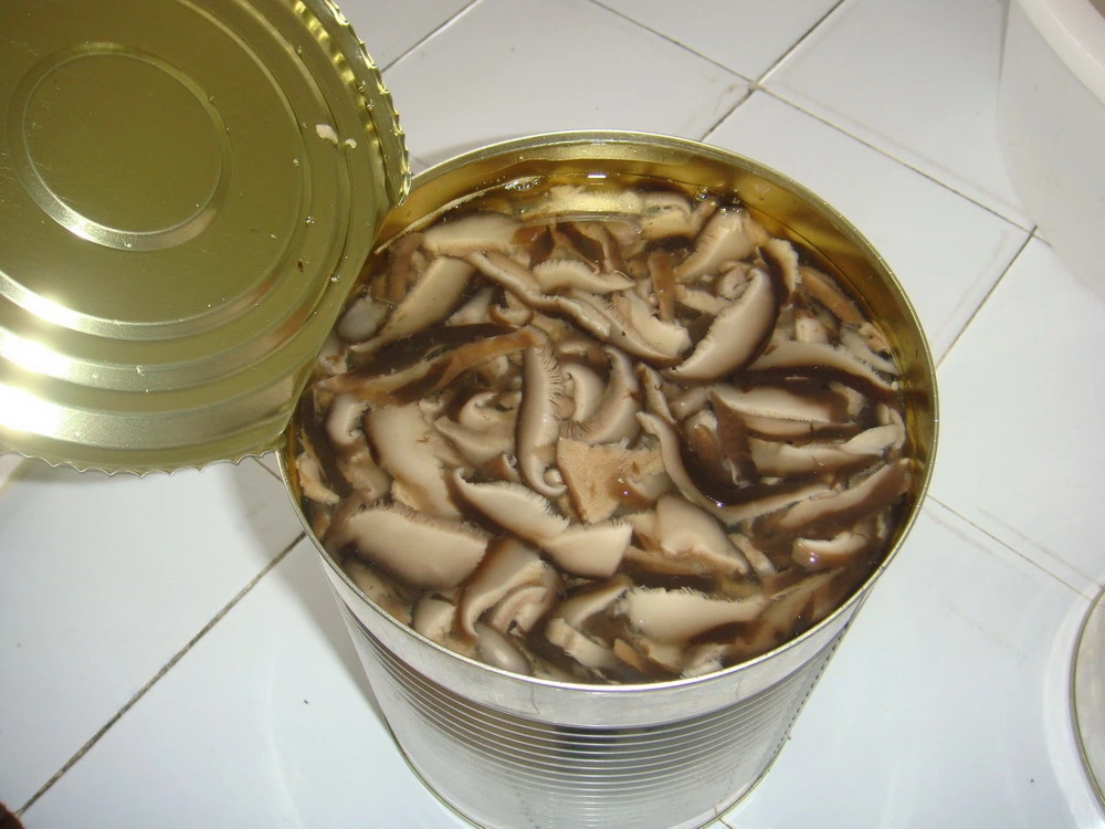 Original Factory Fresh Mushroom Shiitake Whole with Cheapest Price