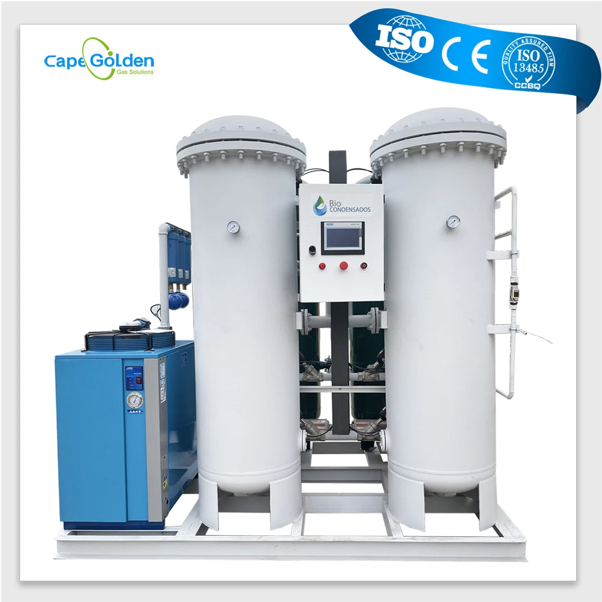 Psa Medical Oxygen Gas Generation Cylinder Filling Plant with CE/ISO