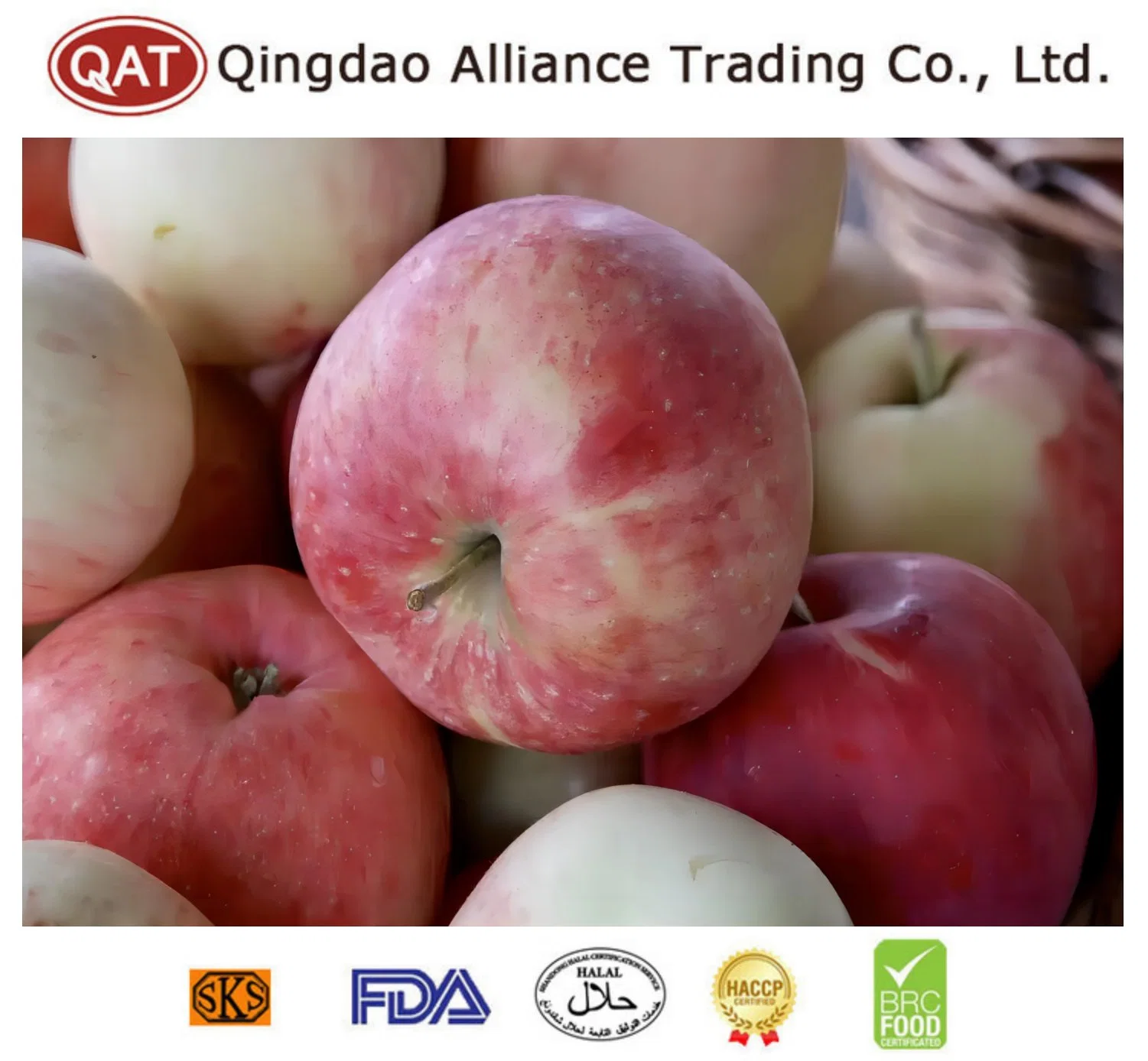 Conservas de Frutas congelado IQF trocitos de manzana Fuji con alta calidad para la exportación