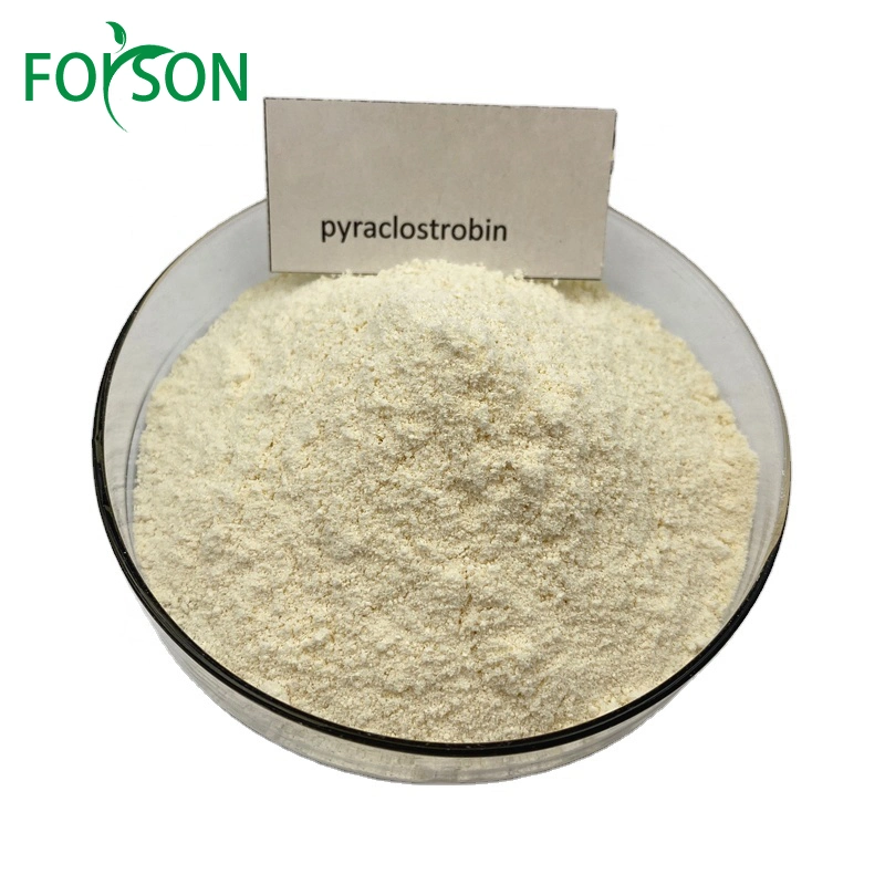 Fosison Supply Fongicide 97% TC Pyraclostrobine Fabricant
