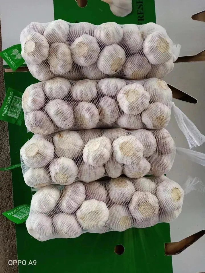 Ajo Blanco fresco/Pure Ajo Blanco/Ajo Chino con 3kg./5kg/10kg/20kg Embalaje bolsa de malla