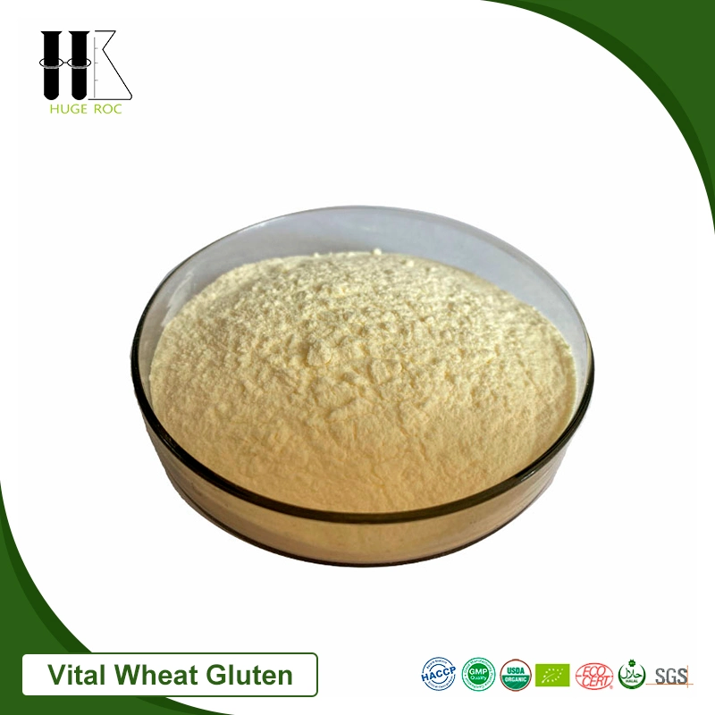 Premium High Protein Food Grade Non-GMO Vital Wheat Gluten