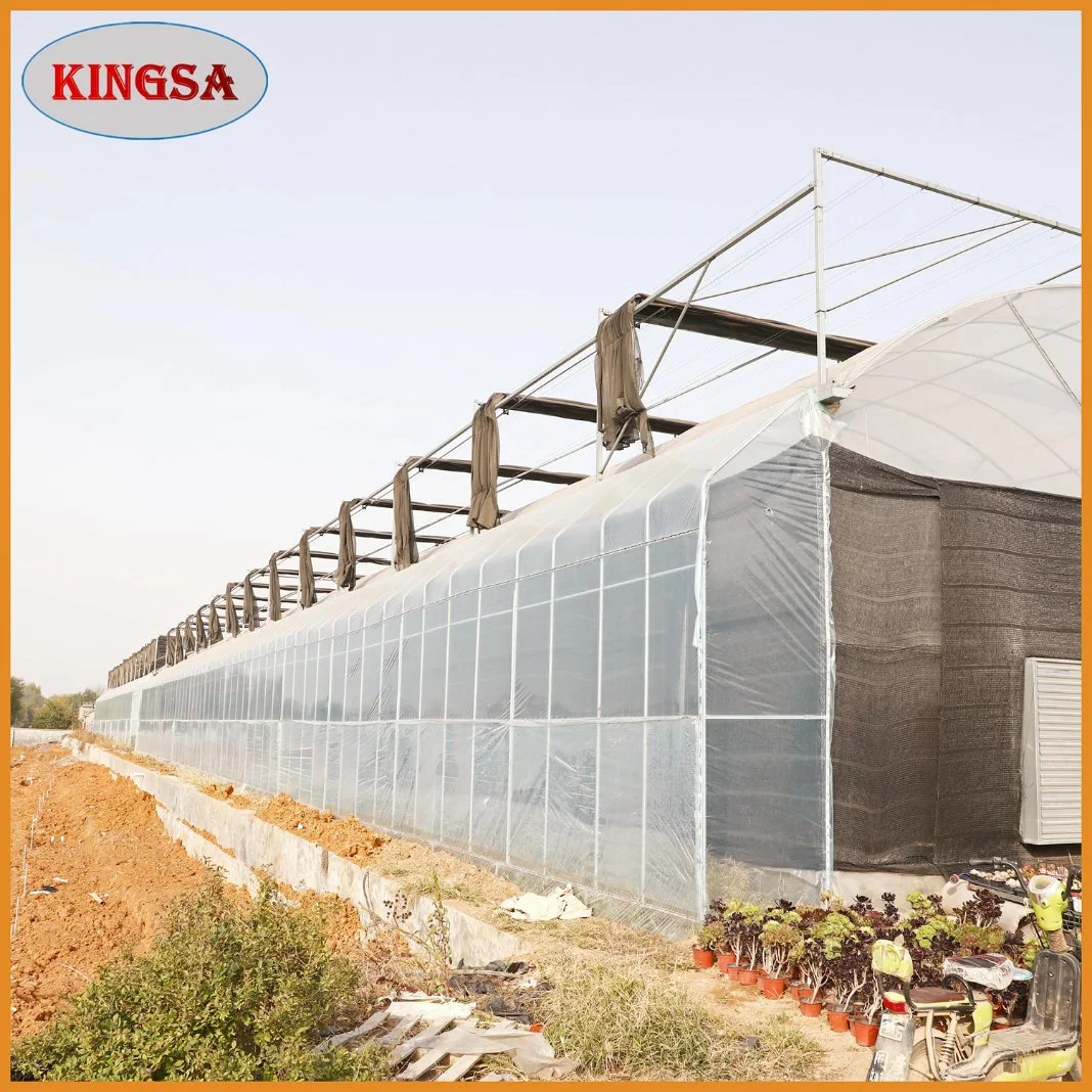 Multi-Span Arch Type PE/Po Plastic/Film Agricultural Greenhouse with Hydroponics System for Tomato/ Cucumber/ Lettuce/ Pepper