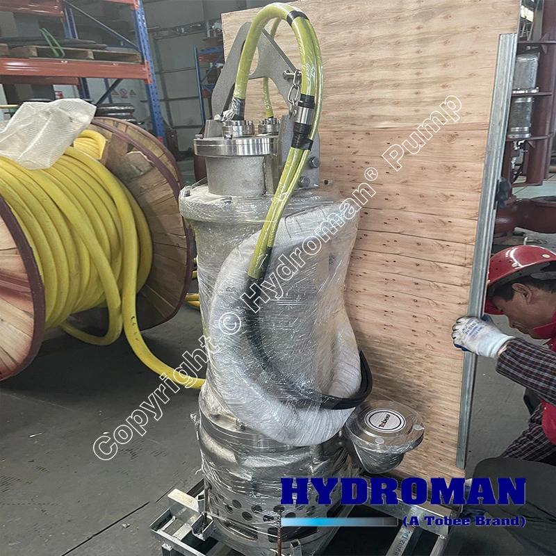 Hydroman Electric Submersible Stainless Steel Sand Slurry Pump for Coal Washing