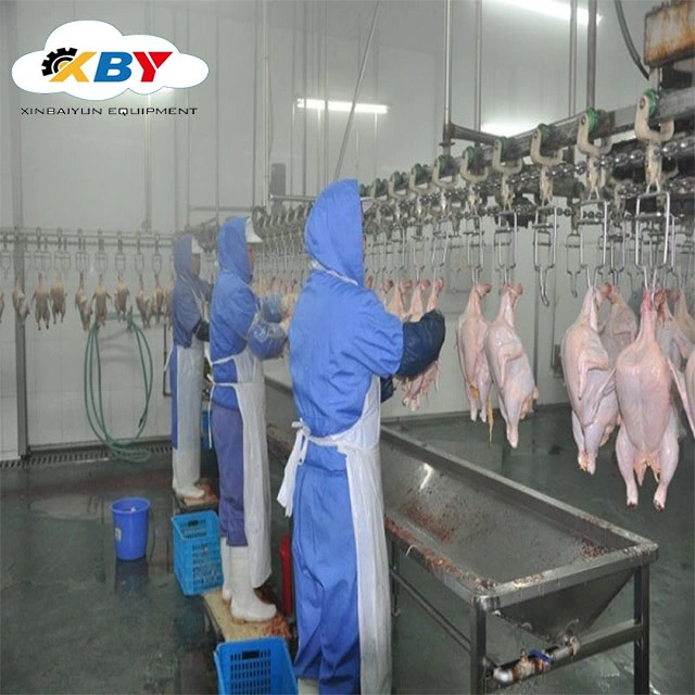 100bhp of Halal Chicken Slaughtering Equipment with Line