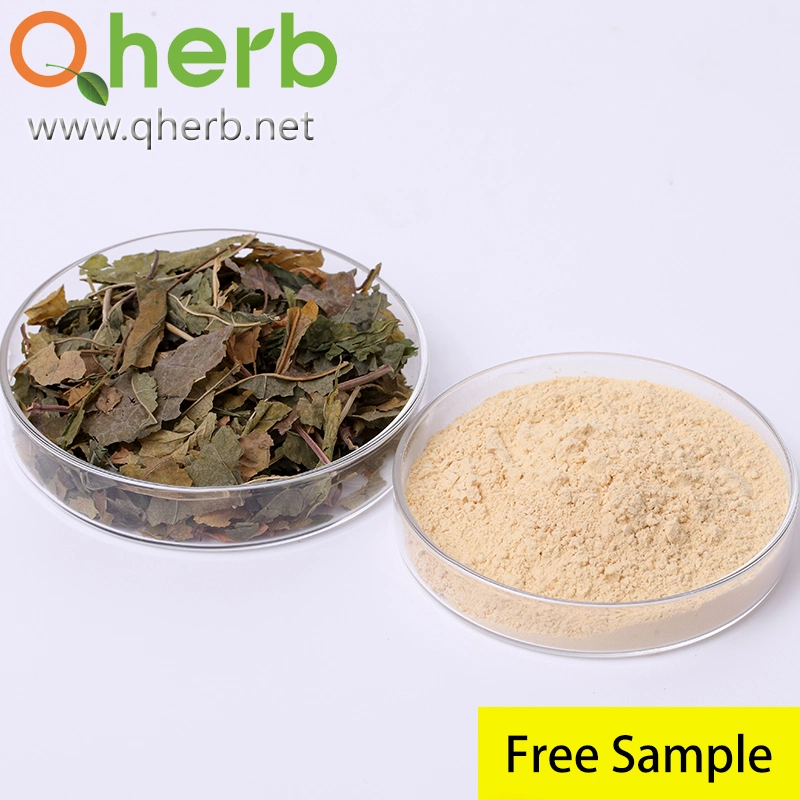 Herb Herbal Extract Natural Ginseng Root Extract Powder Immune-Enhancing in Functional Food