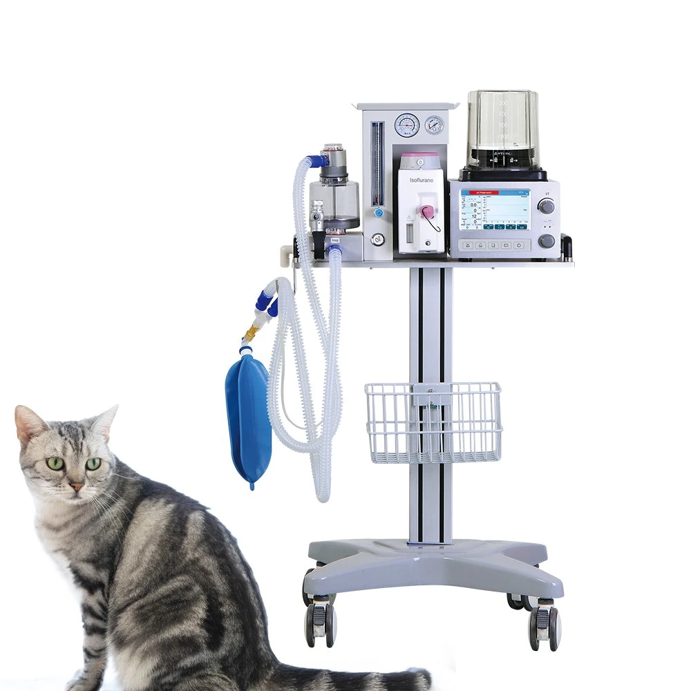 La pequeña máquina de anestesia veterinaria Dm6b para los animales y veterinario.